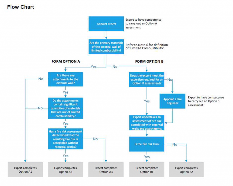 EWS1 External Wall Fire Review Process Flow Chart