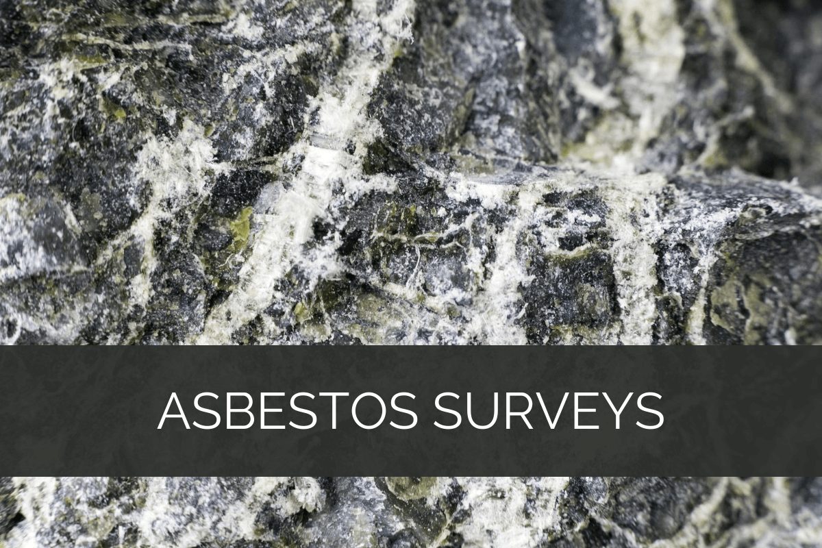 Asbestos Surveys